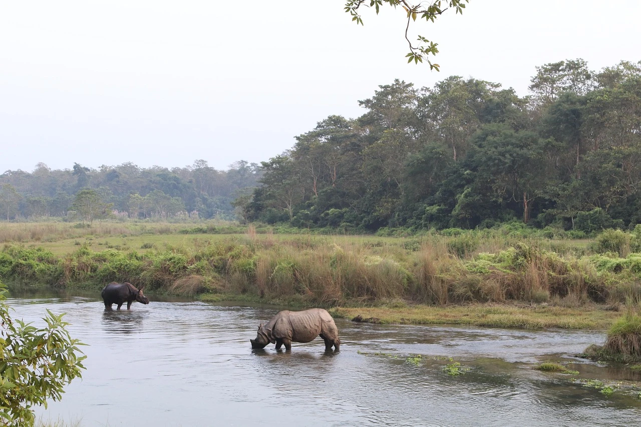 Chitwan National Park Safari Tour