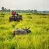 Chitwan National Park, Nepal